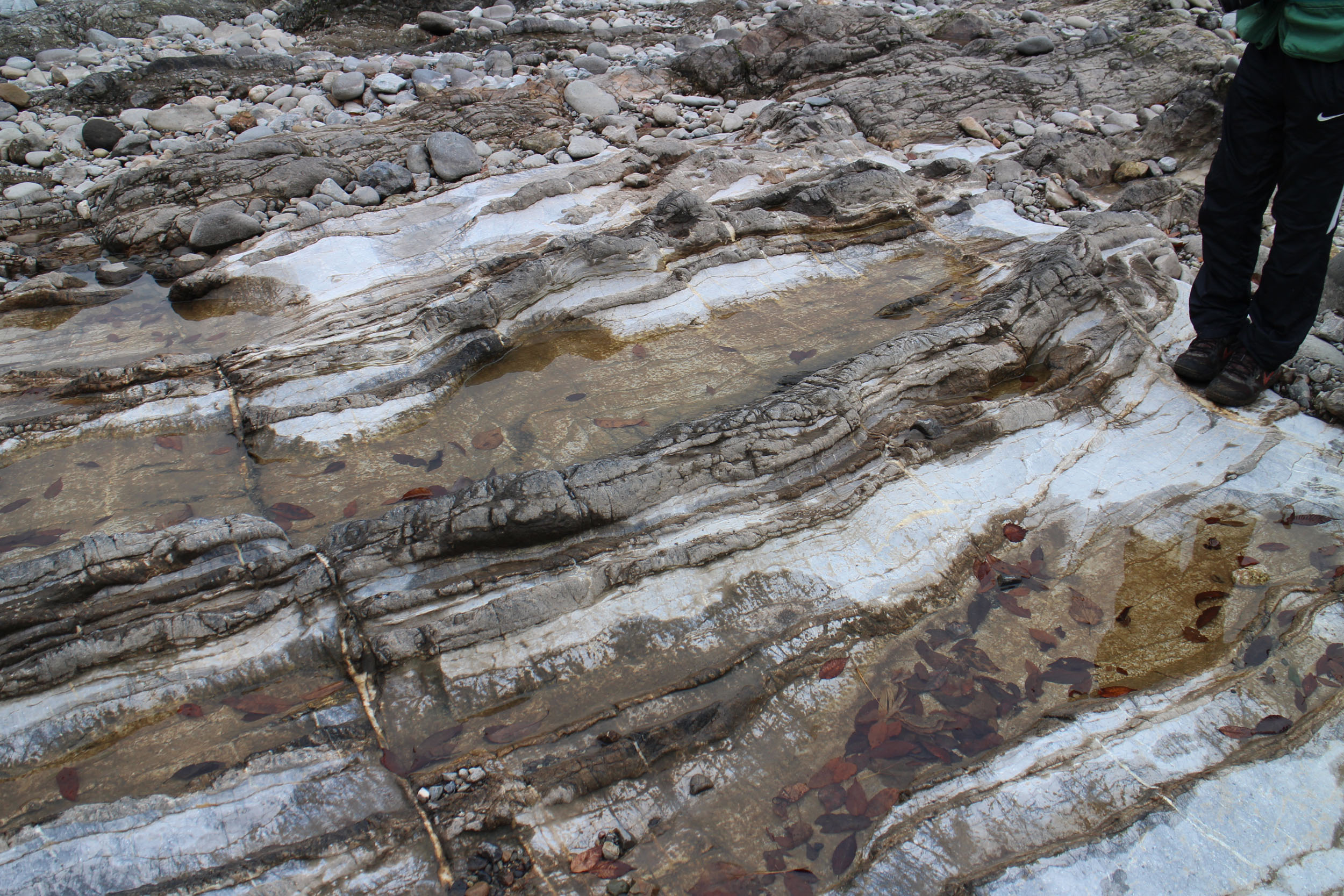 典型地质景观——震旦纪叠层石化石-秭归产学研基地